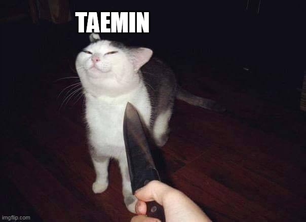 Smug cat knife |  TAEMIN | image tagged in smug cat knife | made w/ Imgflip meme maker