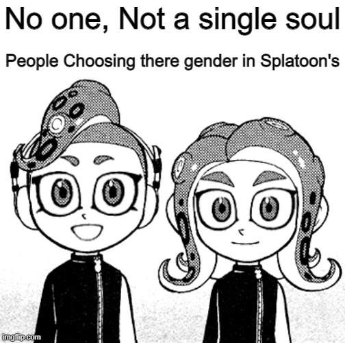 I'm not wrong ya know- | No one, Not a single soul; People Choosing there gender in Splatoon's | image tagged in splatoon 2,octoling,gender | made w/ Imgflip meme maker