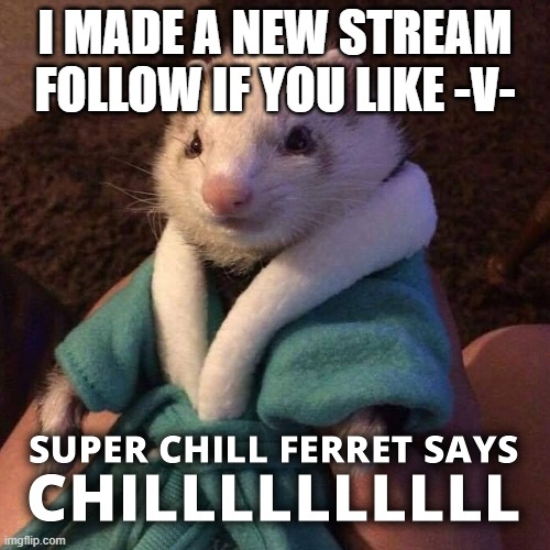 Kenneth says CHILLLLLLL | I MADE A NEW STREAM FOLLOW IF YOU LIKE -V- | image tagged in kenneth says chilllllll | made w/ Imgflip meme maker