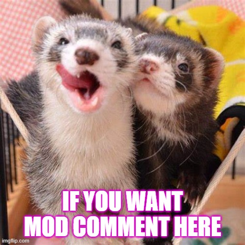 IF YOU WANT MOD COMMENT HERE | made w/ Imgflip meme maker