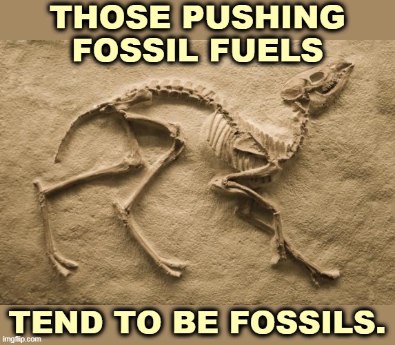 THOSE PUSHING FOSSIL FUELS; TEND TO BE FOSSILS. | image tagged in fossil fuel,old fashioned,dirty,expensive | made w/ Imgflip meme maker
