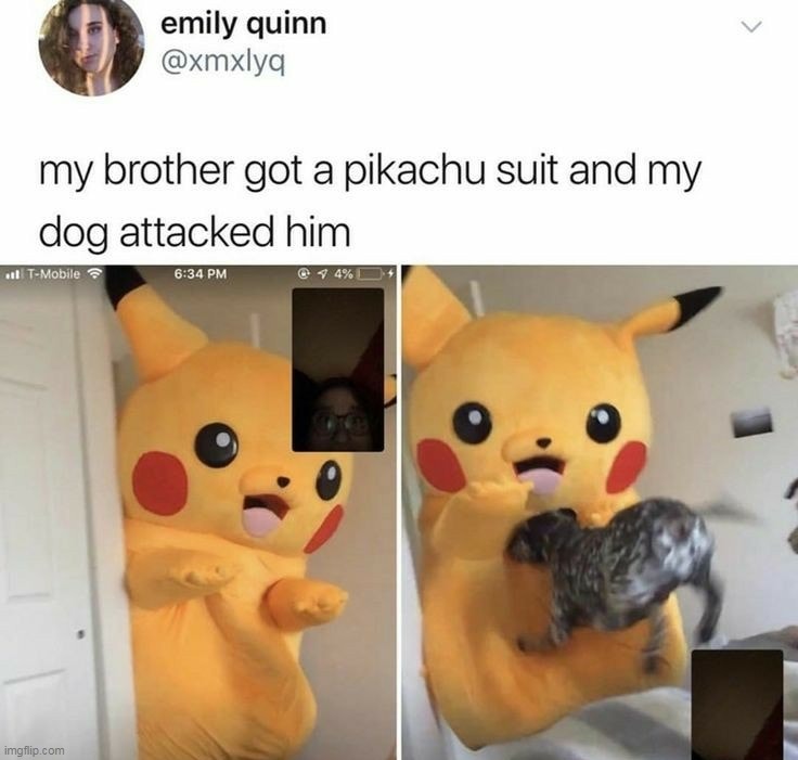 Pikachu getting competition | image tagged in wholesome,smart dog,siblings,costume | made w/ Imgflip meme maker