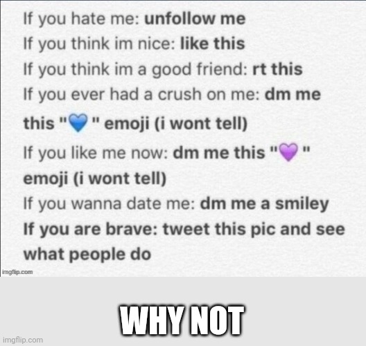 WHY NOT | made w/ Imgflip meme maker