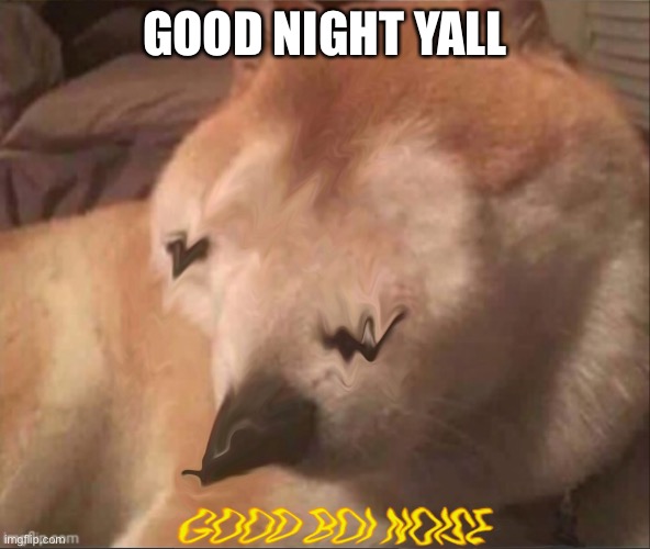 Good boi | GOOD NIGHT YALL | image tagged in good boi | made w/ Imgflip meme maker
