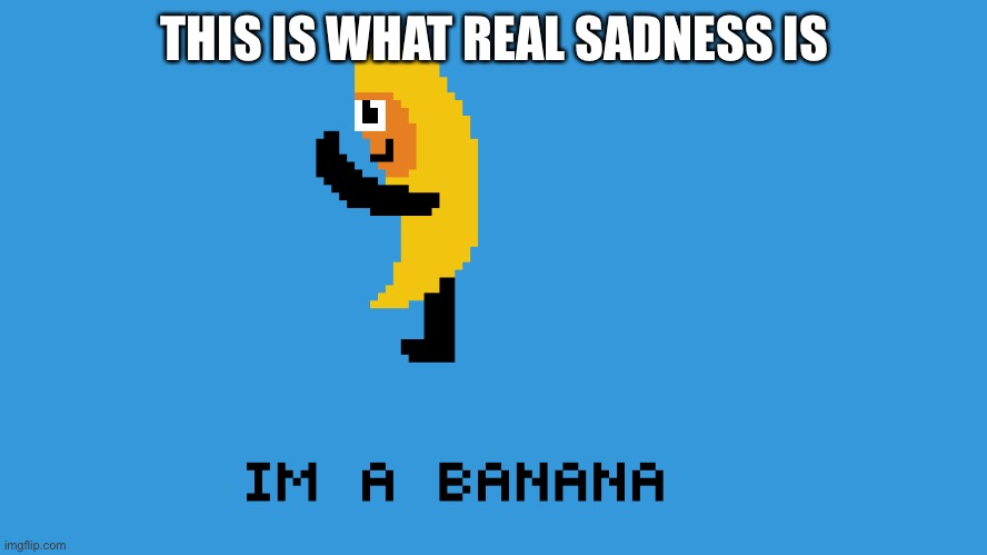E | THIS IS WHAT REAL SADNESS IS | image tagged in dankstroodle82 | made w/ Imgflip meme maker