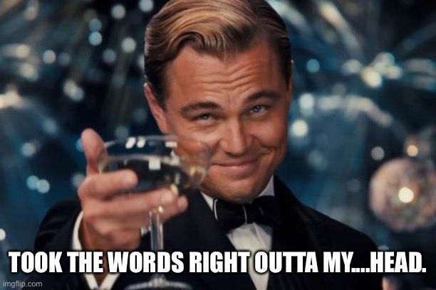 Leonardo Dicaprio Cheers Meme | TOOK THE WORDS RIGHT OUTTA MY....HEAD. | image tagged in memes,leonardo dicaprio cheers | made w/ Imgflip meme maker
