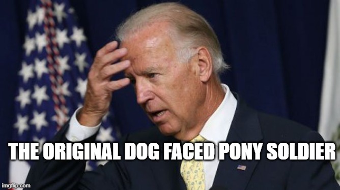 Biden | THE ORIGINAL DOG FACED PONY SOLDIER | image tagged in joe biden worries,dog faced pony soldier,sleepy joe,coronavirus,2020 | made w/ Imgflip meme maker