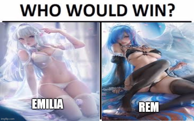 Rem or Emilia,who is ur waifu? | EMILIA; REM | image tagged in nsfw,who would win | made w/ Imgflip meme maker