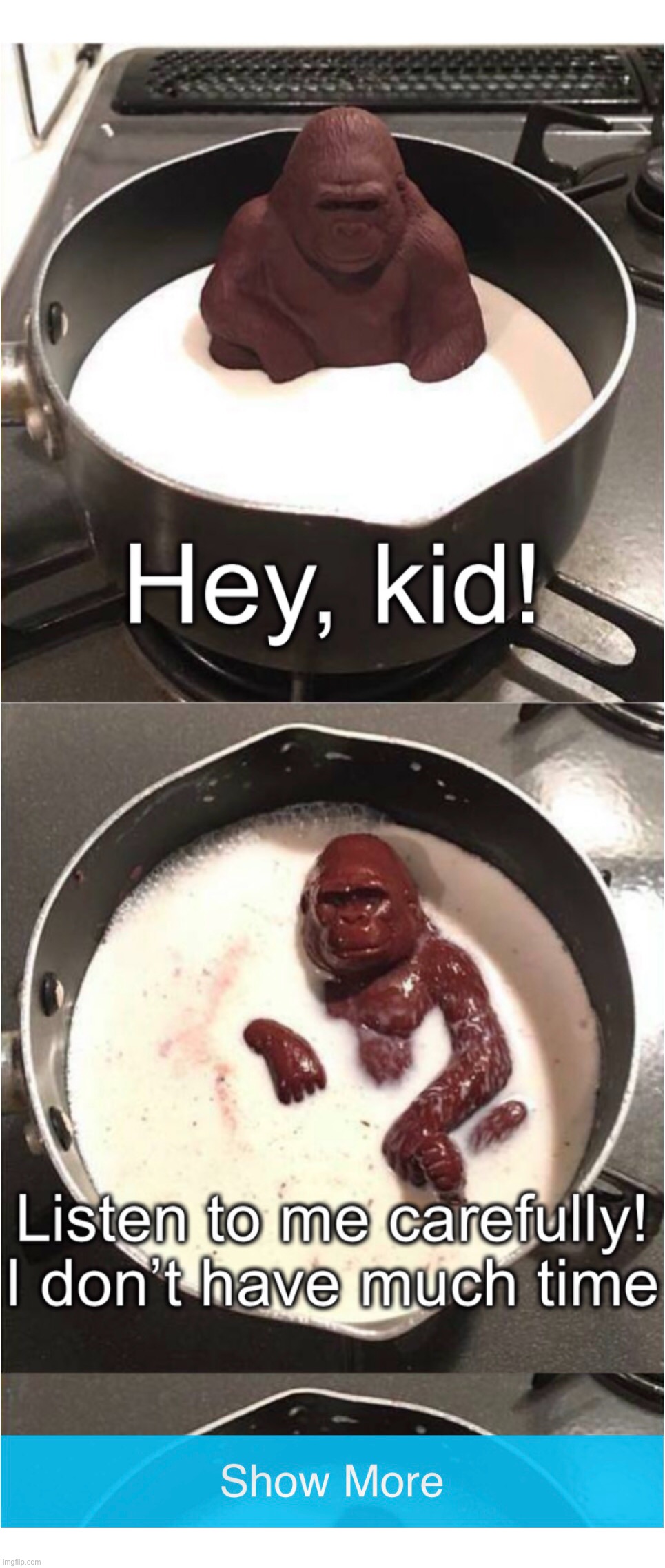 image tagged in funny,memes,chocolate gorilla,dank memes,lol so funny,funny memes | made w/ Imgflip meme maker
