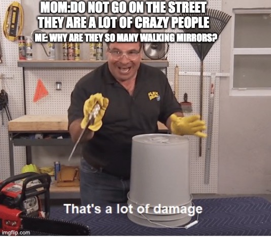 thats a lot of damage | MOM:DO NOT GO ON THE STREET THEY ARE A LOT OF CRAZY PEOPLE; ME: WHY ARE THEY SO MANY WALKING MIRRORS? | image tagged in thats a lot of damage,funny memes,roasted | made w/ Imgflip meme maker