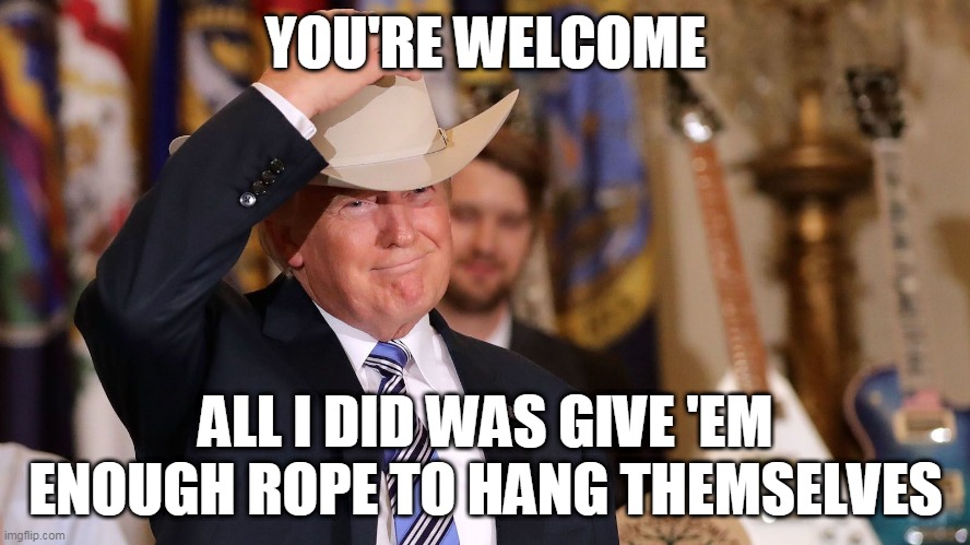 Thank you Mr. President... | YOU'RE WELCOME; ALL I DID WAS GIVE 'EM ENOUGH ROPE TO HANG THEMSELVES | image tagged in donald trump | made w/ Imgflip meme maker
