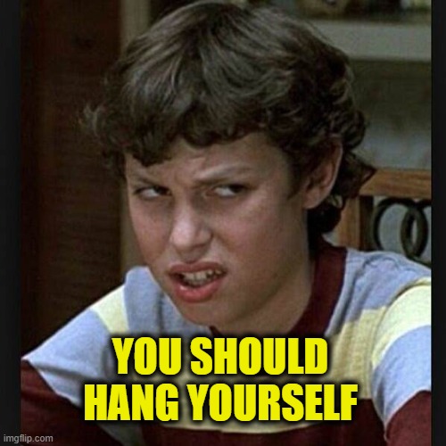 Dark comments | YOU SHOULD HANG YOURSELF | image tagged in disgusted face,hang in there | made w/ Imgflip meme maker