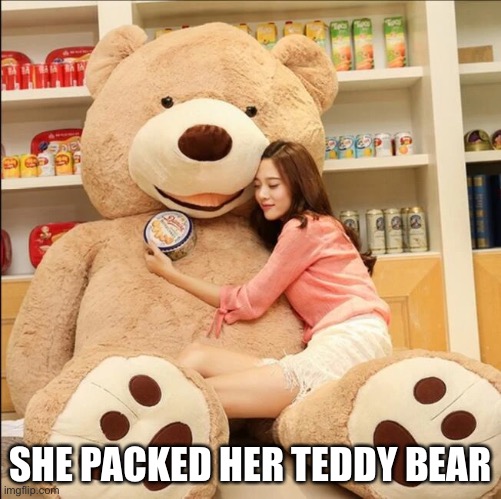SHE PACKED HER TEDDY BEAR | made w/ Imgflip meme maker