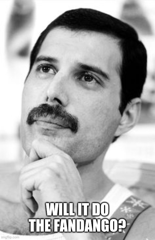 Thoughtful Freddie Mercury | WILL IT DO THE FANDANGO? | image tagged in thoughtful freddie mercury | made w/ Imgflip meme maker