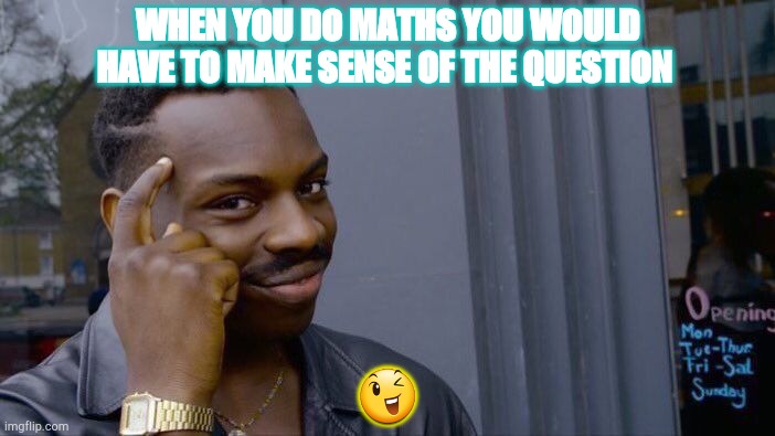 Roll Safe Think About It | WHEN YOU DO MATHS YOU WOULD HAVE TO MAKE SENSE OF THE QUESTION; 😉 | image tagged in memes,roll safe think about it | made w/ Imgflip meme maker