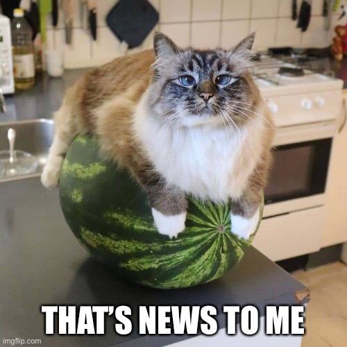 THAT’S NEWS TO ME | made w/ Imgflip meme maker