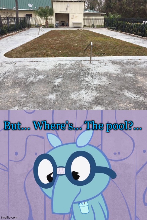 No pool??? ??? | But... Where's... The pool?... | image tagged in sad sniffles htf | made w/ Imgflip meme maker