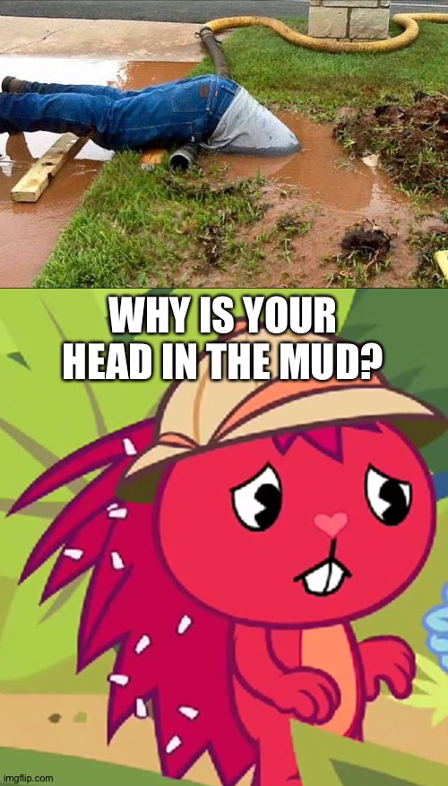 This guy was not supposed to do that... LOL! | WHY IS YOUR HEAD IN THE MUD? | image tagged in memes,funny | made w/ Imgflip meme maker