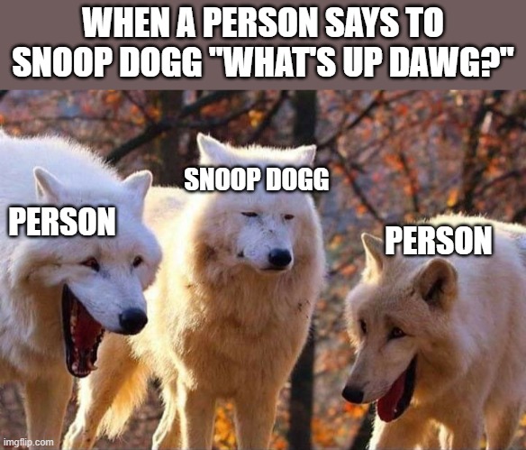 Laughing wolf | WHEN A PERSON SAYS TO SNOOP DOGG "WHAT'S UP DAWG?"; SNOOP DOGG; PERSON; PERSON | image tagged in laughing wolf | made w/ Imgflip meme maker