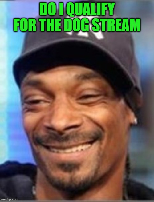 All dogs are welcome!!! | DO I QUALIFY FOR THE DOG STREAM | image tagged in snoop dogg,memes,dogs | made w/ Imgflip meme maker