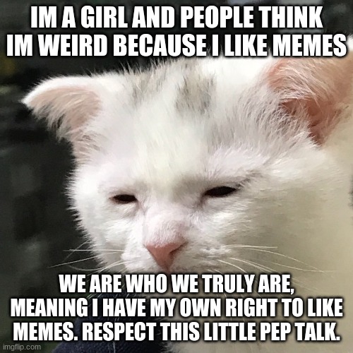 I'm awake, but at what cost? | IM A GIRL AND PEOPLE THINK IM WEIRD BECAUSE I LIKE MEMES; WE ARE WHO WE TRULY ARE, MEANING I HAVE MY OWN RIGHT TO LIKE MEMES. RESPECT THIS LITTLE PEP TALK. | image tagged in i'm awake but at what cost | made w/ Imgflip meme maker