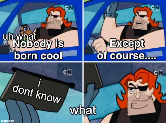 Nobody is born cool | uh what; i dont know; what | image tagged in nobody is born cool | made w/ Imgflip meme maker