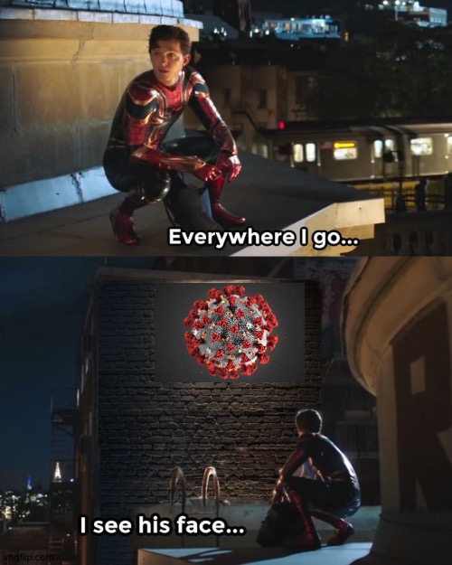 Corona virus everyday | image tagged in everywhere i go i see his face,corona virus | made w/ Imgflip meme maker