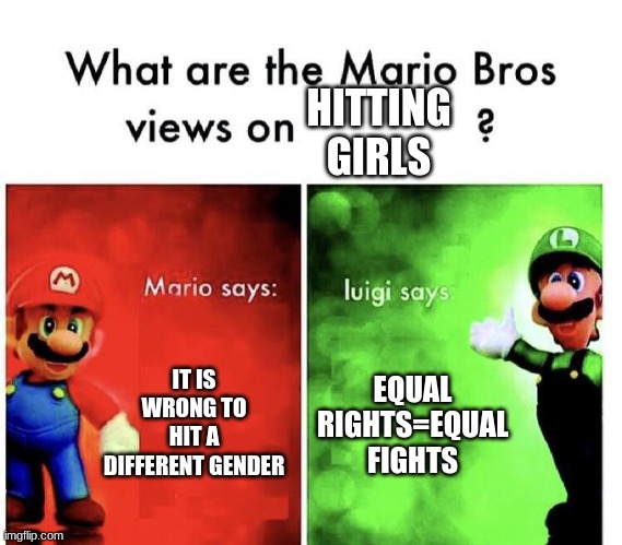 trashy but i tried | HITTING GIRLS; IT IS WRONG TO HIT A DIFFERENT GENDER; EQUAL RIGHTS=EQUAL FIGHTS | image tagged in mario bros views | made w/ Imgflip meme maker