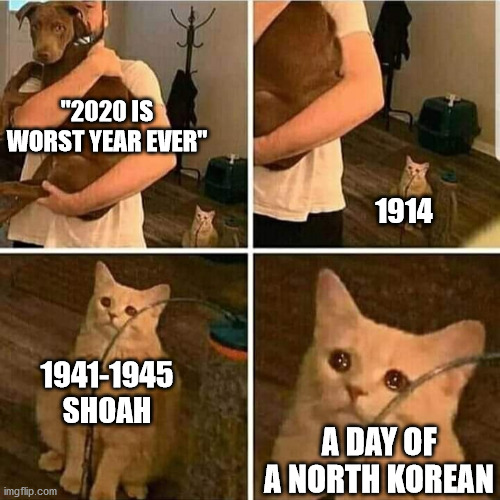 yup | "2020 IS WORST YEAR EVER"; 1914; 1941-1945 SHOAH; A DAY OF A NORTH KOREAN | image tagged in sad cat holding dog | made w/ Imgflip meme maker