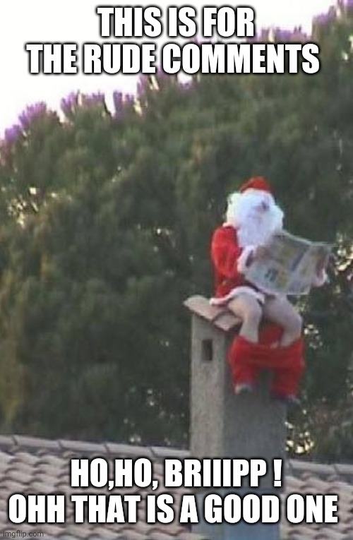 Santa Chimney Toilet | THIS IS FOR THE RUDE COMMENTS HO,HO, BRIIIPP ! OHH THAT IS A GOOD ONE | image tagged in santa chimney toilet | made w/ Imgflip meme maker