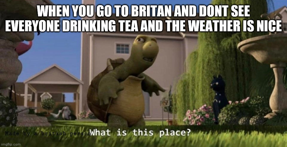 Im offended | WHEN YOU GO TO BRITAN AND DONT SEE EVERYONE DRINKING TEA AND THE WEATHER IS NICE; Made by a british person | image tagged in what is this place | made w/ Imgflip meme maker