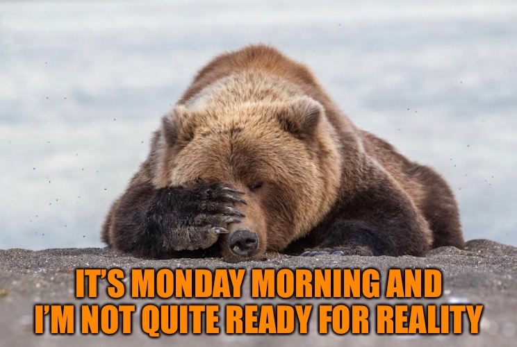 IT’S MONDAY MORNING AND I’M NOT QUITE READY FOR REALITY | made w/ Imgflip meme maker