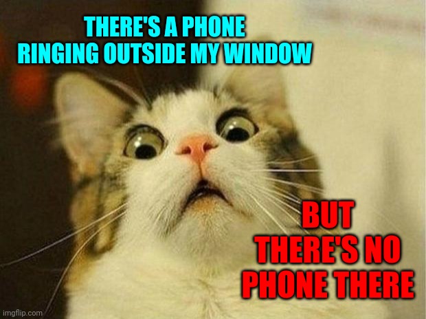 There It Goes Again And Everyone I Know Has Their Phone | THERE'S A PHONE RINGING OUTSIDE MY WINDOW; BUT THERE'S NO PHONE THERE | image tagged in memes,scared cat,wth,stranger things,seriously wtf,freaking out | made w/ Imgflip meme maker
