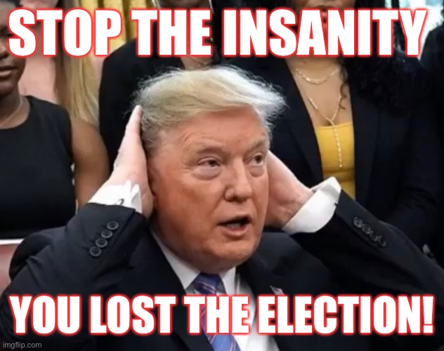 It’s Time For The Tranquilizer Dart And A Big Net! | STOP THE INSANITY; YOU LOST THE ELECTION! | image tagged in donald trump,delusional,loser,liar,con man,grifter | made w/ Imgflip meme maker