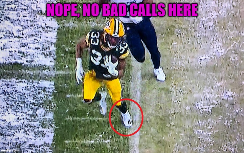 The Ref was standing RIGHT THERE | NOPE, NO BAD CALLS HERE | image tagged in nfl,football,nfl football,green bay packers,tennessee titans,nfl referee | made w/ Imgflip meme maker