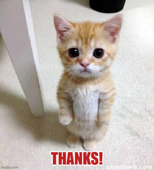 Cute Cat Meme | THANKS! | image tagged in memes,cute cat | made w/ Imgflip meme maker