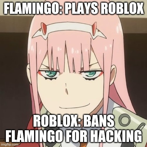 Flamingo's reaction | FLAMINGO: PLAYS ROBLOX; ROBLOX: BANS FLAMINGO FOR HACKING | image tagged in zero two,flamingo,fat albert | made w/ Imgflip meme maker