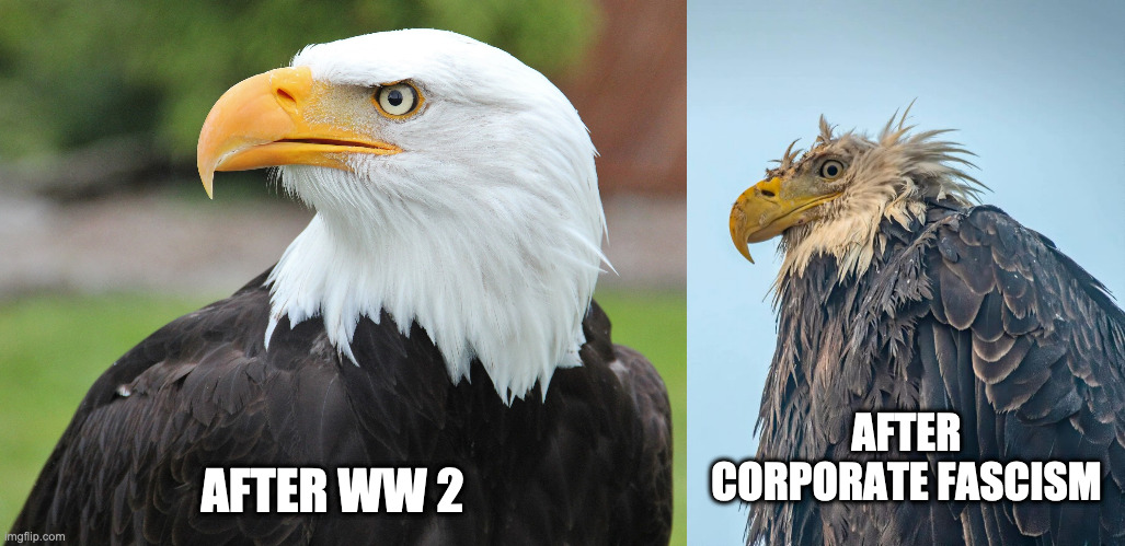 Fascism | AFTER WW 2; AFTER CORPORATE FASCISM | image tagged in fascism | made w/ Imgflip meme maker