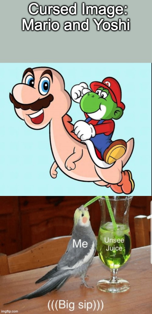 Cursed Image: Mario and Yoshi | Cursed Image: Mario and Yoshi | image tagged in unsee juice | made w/ Imgflip meme maker