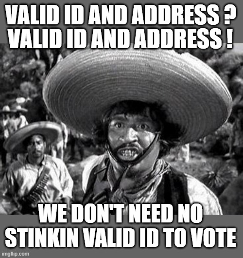 yep | VALID ID AND ADDRESS ? VALID ID AND ADDRESS ! WE DON'T NEED NO STINKIN VALID ID TO VOTE | image tagged in democrats,illegal immigration,communism,banana republic | made w/ Imgflip meme maker