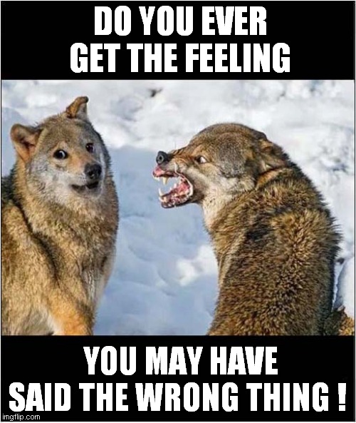 Wolf's Instant Regret ! | DO YOU EVER GET THE FEELING; YOU MAY HAVE SAID THE WRONG THING ! | image tagged in fun,wolves,over reaction,frontpage | made w/ Imgflip meme maker