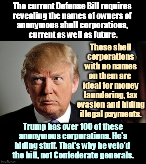 Stormy Daniels got paid through one of these. What's Donald hiding in the other 99? | The current Defense Bill requires 
revealing the names of owners of 
anonymous shell corporations, 
current as well as future. These shell corporations with no names on them are 
ideal for money laundering, tax evasion and hiding illegal payments. Trump has over 100 of these anonymous corporations. He's hiding stuff. That's why he veto'd 
the bill, not Confederate generals. | image tagged in trump frightened suspicious,trump,crooked,devious donald,hiding,business | made w/ Imgflip meme maker