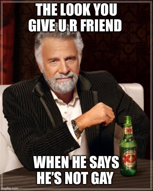 The Most Interesting Man In The World Meme | THE LOOK YOU GIVE U R FRIEND; WHEN HE SAYS HE’S NOT GAY | image tagged in memes,the most interesting man in the world,i know everything about you | made w/ Imgflip meme maker