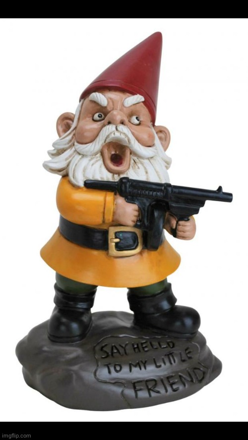 Angry Gnome | image tagged in angry gnome | made w/ Imgflip meme maker