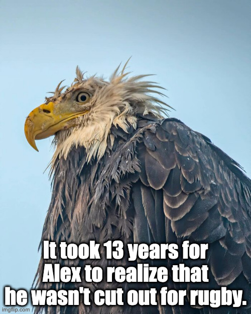 Rugby 547, Eagle 0 | It took 13 years for Alex to realize that he wasn't cut out for rugby. | image tagged in bad idea | made w/ Imgflip meme maker