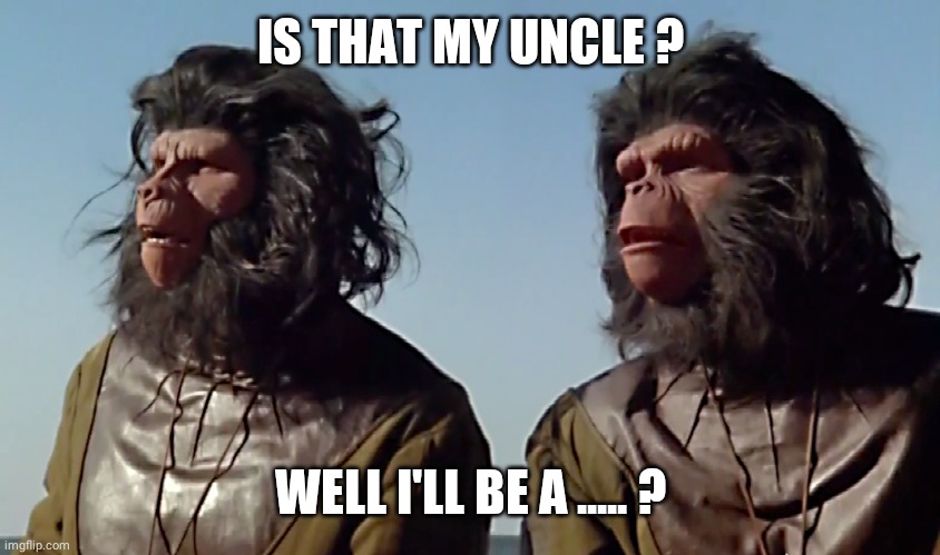 Spaceballs Apes | IS THAT MY UNCLE ? WELL I'LL BE A ..... ? | image tagged in spaceballs apes | made w/ Imgflip meme maker
