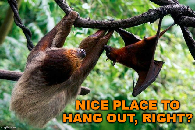 NICE PLACE TO HANG OUT, RIGHT? | made w/ Imgflip meme maker