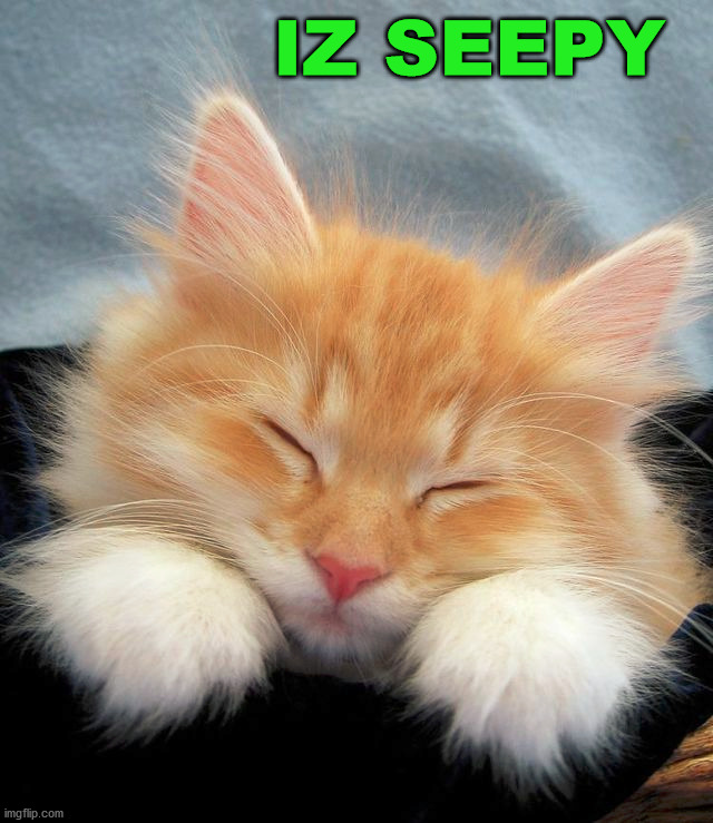 IZ SEEPY | image tagged in cats | made w/ Imgflip meme maker