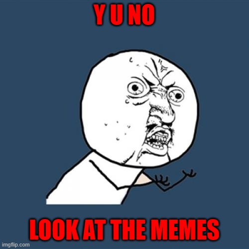 Y U No Meme | Y U NO LOOK AT THE MEMES | image tagged in memes,y u no | made w/ Imgflip meme maker