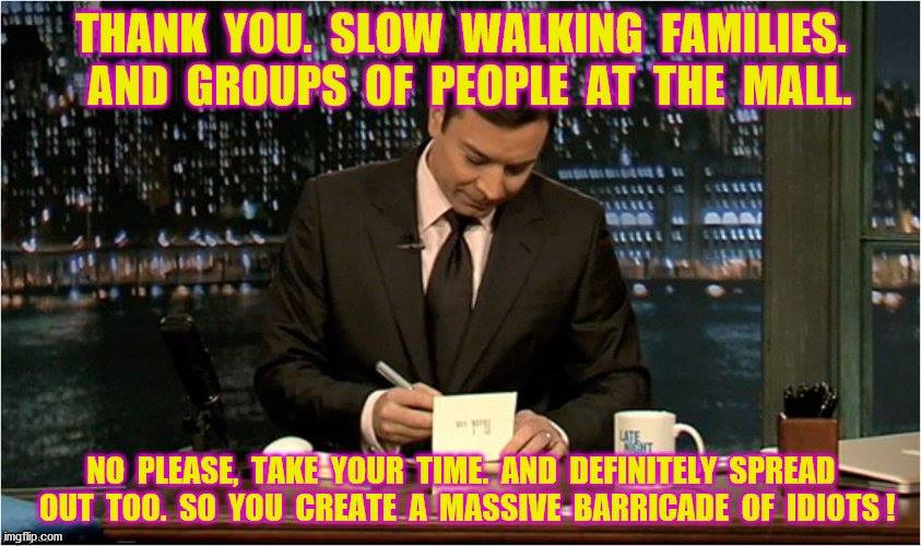 Barricade of idiots | image tagged in funny memes,jimmy fallon | made w/ Imgflip meme maker